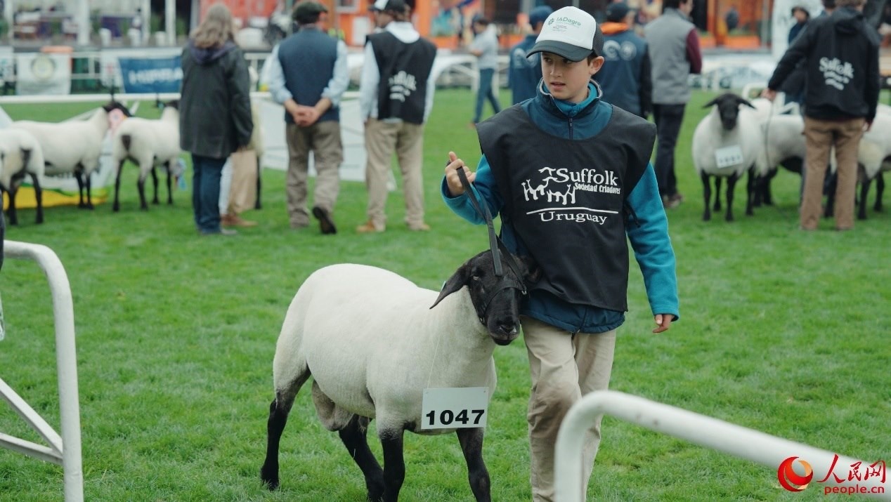 烏拉圭第118屆普拉多牧農(nóng)業(yè)國(guó)際博覽會(huì)現(xiàn)場(chǎng)。人民網(wǎng)記者 張若涵攝