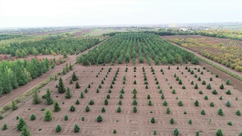 這是2023年9月11日在哈薩克斯坦首都阿斯塔納拍攝的一處植物種質(zhì)資源苗圃（無人機(jī)照片）。新華社發(fā)（法爾哈特·圖克諾夫 攝）