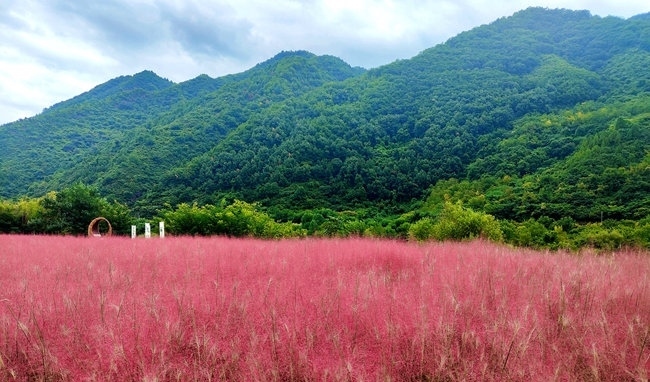 寶成線鳳縣境內(nèi)的路邊。