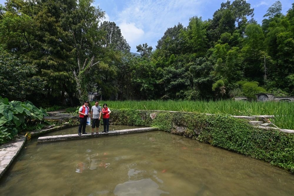 2023年8月17日，浙江省麗水市青田縣方山鄉(xiāng)田魚養(yǎng)殖戶吳勇強(qiáng)（中）在接受青田農(nóng)商銀行“小蜻蜓”服務(wù)隊(duì)志愿者提供的“惠民易貸”上門服務(wù)。近年來，青田縣金融發(fā)展中心聯(lián)合各個(gè)金融機(jī)構(gòu)優(yōu)化配套鄉(xiāng)村振興金融服務(wù)，推出“惠民易貸”“農(nóng)家樂貸”等金融產(chǎn)品，重點(diǎn)支持涉農(nóng)龍頭企業(yè)及特色種養(yǎng)殖產(chǎn)業(yè)。新華社記者 徐昱 攝