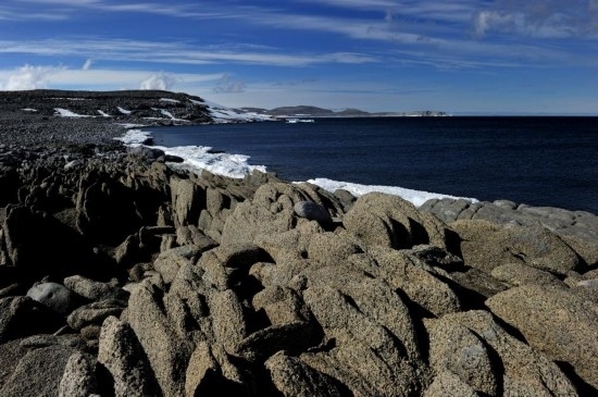 羅斯海恩克斯堡島的夏季風光。新華社記者 張建松 攝