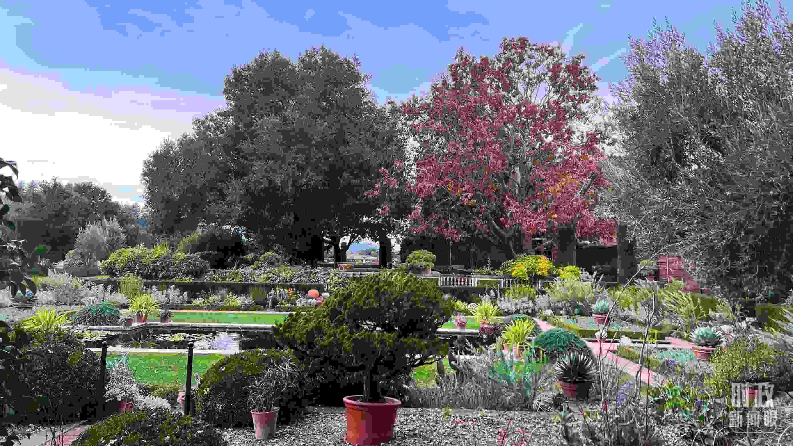 斐洛里莊園被稱作美國20世紀現(xiàn)存最精美鄉(xiāng)村莊園之一。（總臺央視記者程鋮拍攝）