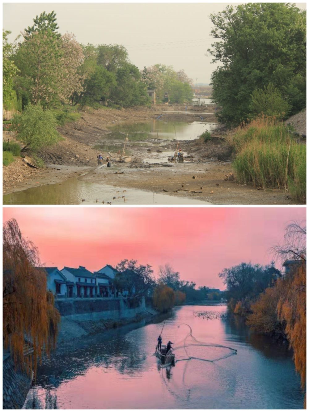 江蘇省揚(yáng)州市江都區(qū)明清運(yùn)河故道整治前后。（上圖：2012年；下圖：2020年）（孫友定 攝）