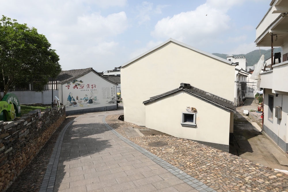 浙江省義烏市李祖村一景（2023年5月23日攝）。新華社記者 杜瀟逸 攝