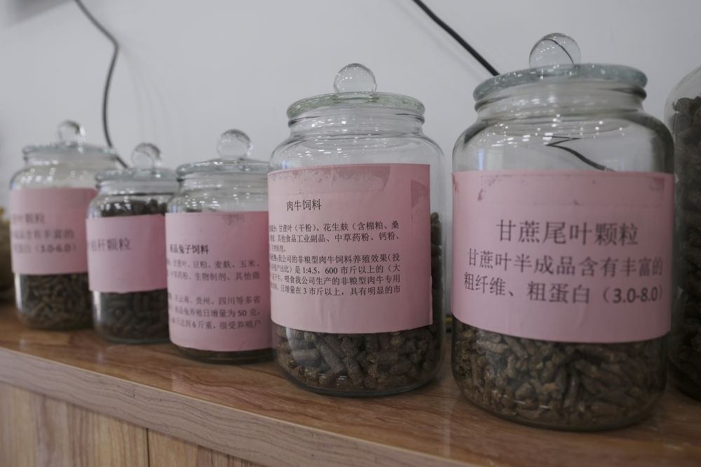 這是12月13日在來賓市興賓區(qū)小平陽鎮(zhèn)一家飼料廠拍攝的以甘蔗尾葉為原料制成的飼料。