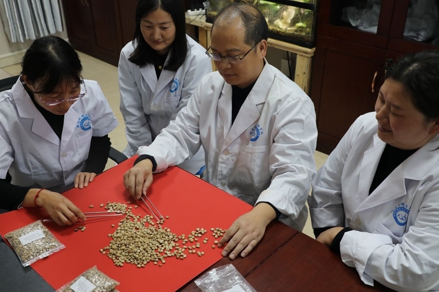 團(tuán)隊復(fù)檢航天育種種子