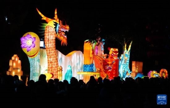 2月11日晚，人們?cè)跐?jì)南市趵突泉公園觀賞花燈。