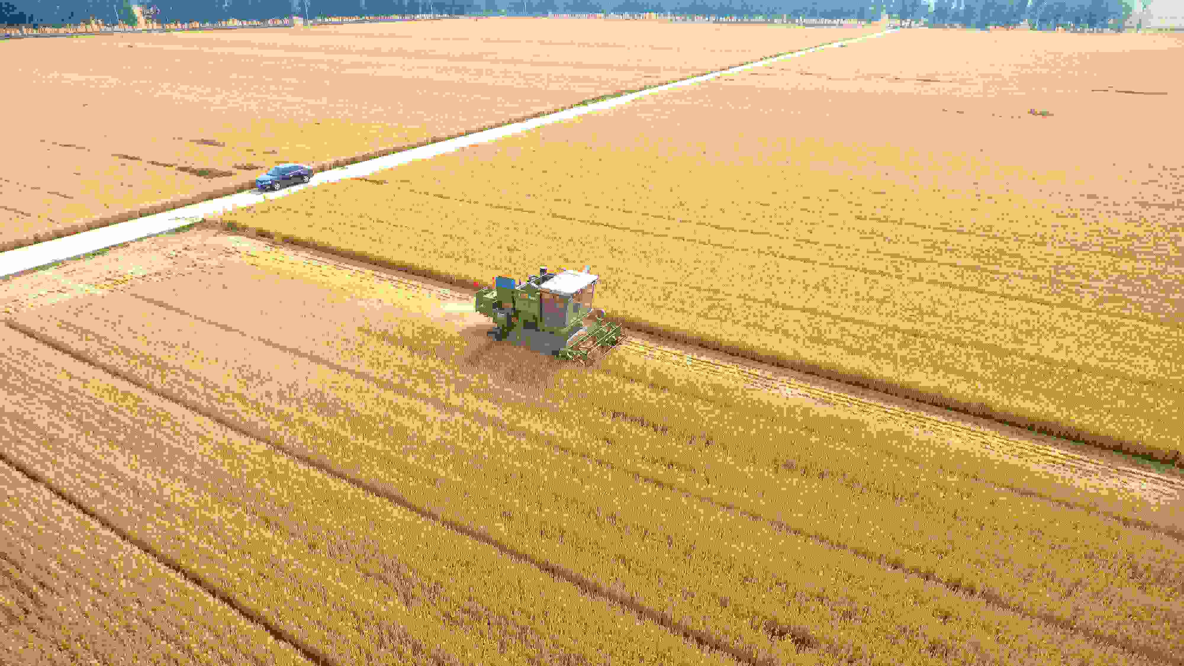 △ 2023年6月5日，山東聊城茌平區(qū)賈寨鎮(zhèn)王藥包村，收割機(jī)在田間進(jìn)行小麥?zhǔn)崭钭鳂I(yè)。