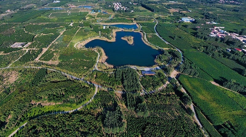 這是2022年9月6日拍攝的雄安新區(qū)“千年秀林”。