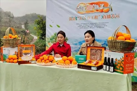 2021年2月26日，在重慶渝北區(qū)大盛鎮(zhèn)青龍村舉辦的直播活動現(xiàn)場。