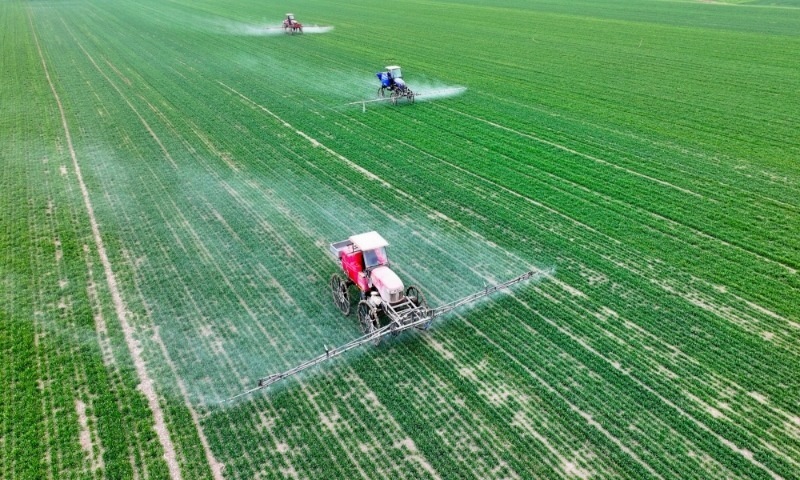2024年2月18日，安徽省亳州市，利辛縣紀(jì)王場鄉(xiāng)孫老家村麥田，農(nóng)民駕駛自走式高桿噴霧機(jī)對小麥進(jìn)行噴藥作業(yè)。