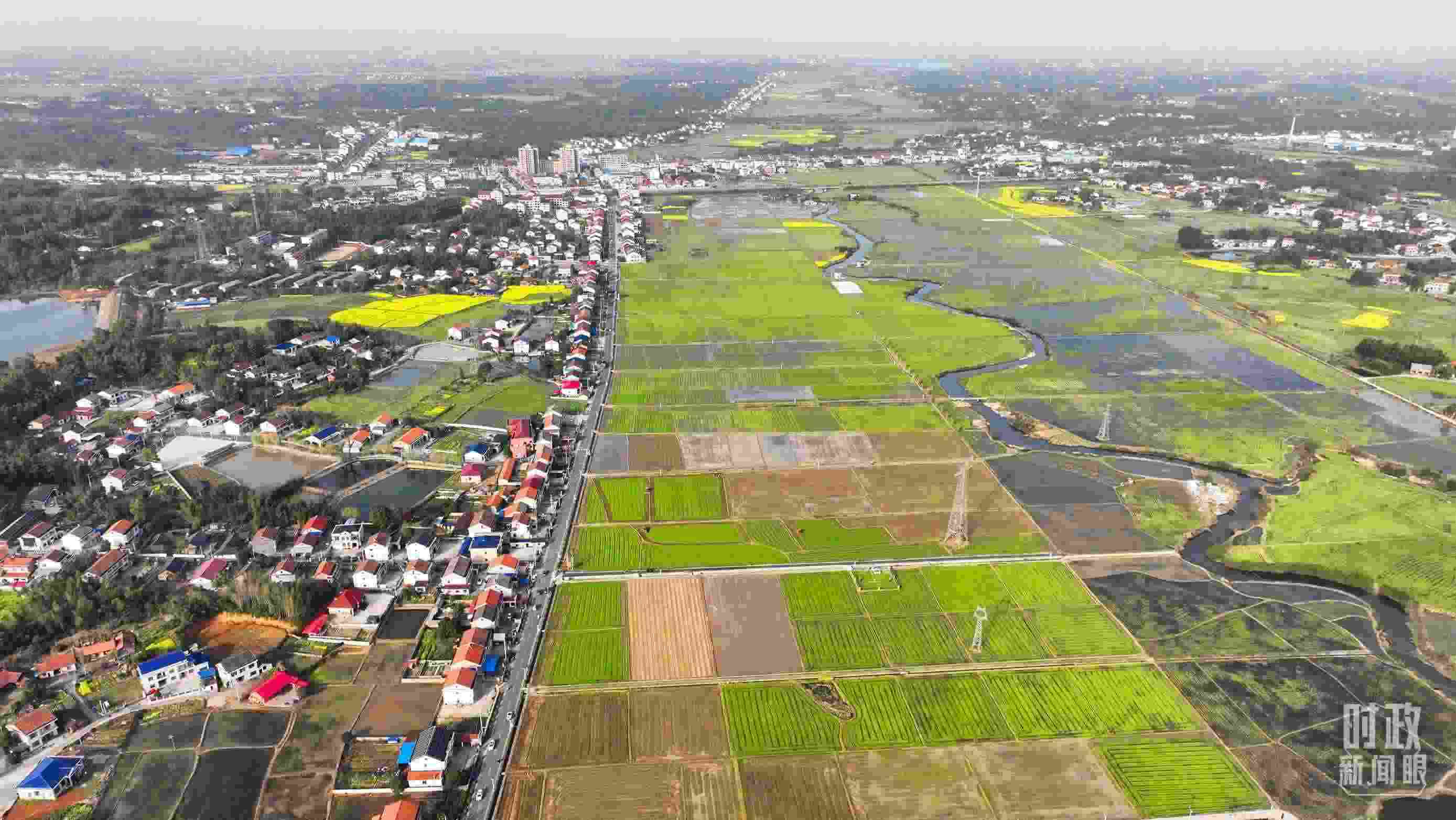 △俯瞰常德市謝家鋪鎮(zhèn)港中坪村。（總臺(tái)國(guó)廣記者李晉拍攝）