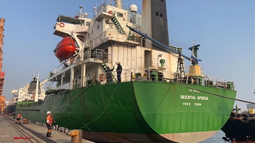 中蘇海運直航貨輪靠泊蘇里南碼頭。中國駐蘇里南大使館供圖