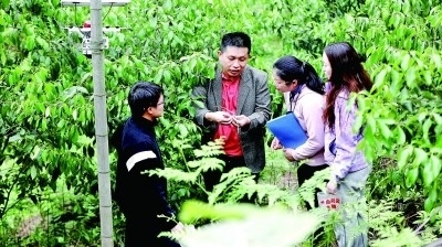 分得宜春地 東偏一畫(huà)屏——江西省分宜縣院地共促科研轉(zhuǎn)化助推鄉(xiāng)村振興