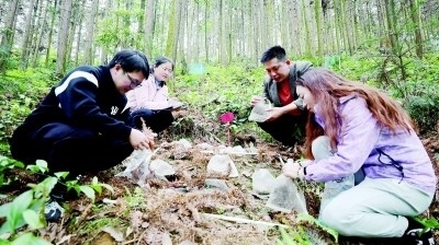 分得宜春地 東偏一畫(huà)屏——江西省分宜縣院地共促科研轉(zhuǎn)化助推鄉(xiāng)村振興