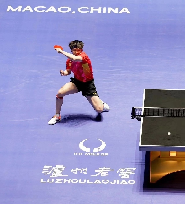 王楚欽在比賽中。賽事方供圖