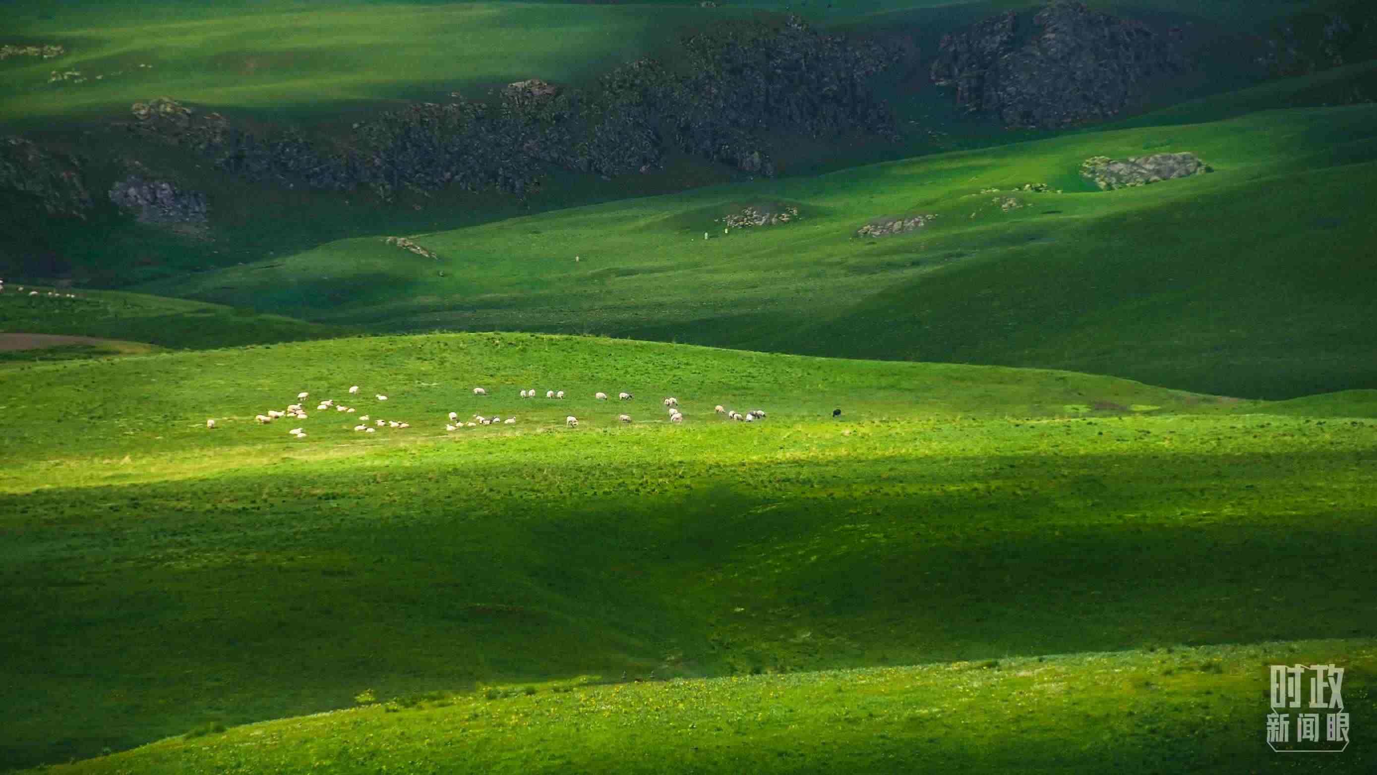 △祁連山草原光影。（圖/視覺中國(guó)）