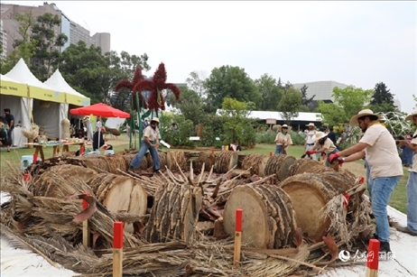 坎波·馬特活動現(xiàn)場。埃內(nèi)斯托·多明戈斯攝