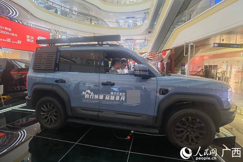 消費(fèi)者在商場(chǎng)選購(gòu)汽車。人民網(wǎng)記者 陳燕攝