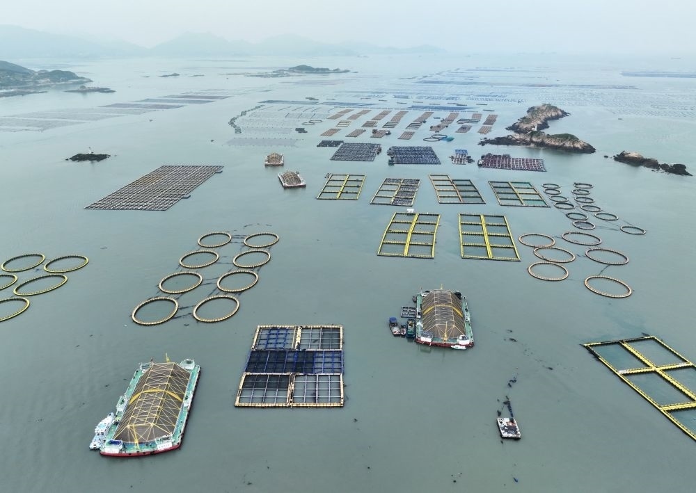在福建連江定海灣海域，坐落著“定海灣1號(hào)”“定海灣2號(hào)”等深遠(yuǎn)海養(yǎng)殖平臺(tái)（2024年5月7日攝，無人機(jī)照片）。新華社記者 林善傳 攝