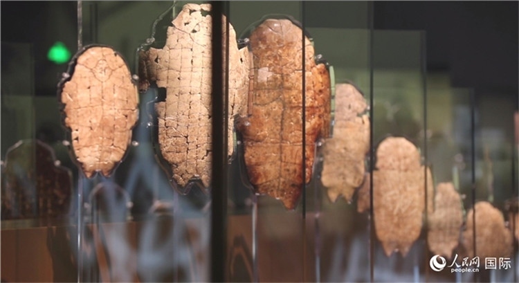 殷墟博物館新館的甲骨展品。人民網(wǎng)記者 劉寧攝