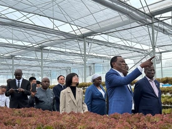 使節(jié)團(tuán)考察貴州省清鎮(zhèn)駱家橋蔬菜保供基地的無土栽培溫室。新華社記者 袁睿 攝