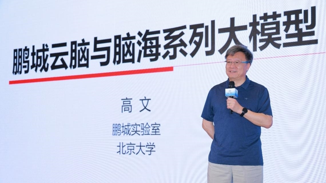 高文院士做大會(huì)特邀報(bào)告。主辦方供圖