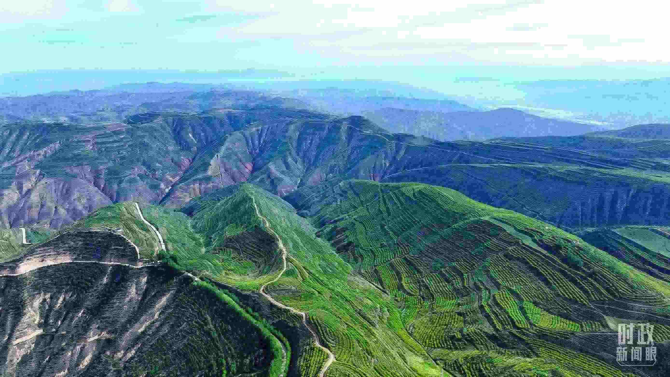 △青海西寧。（總臺(tái)記者柳成拍攝）