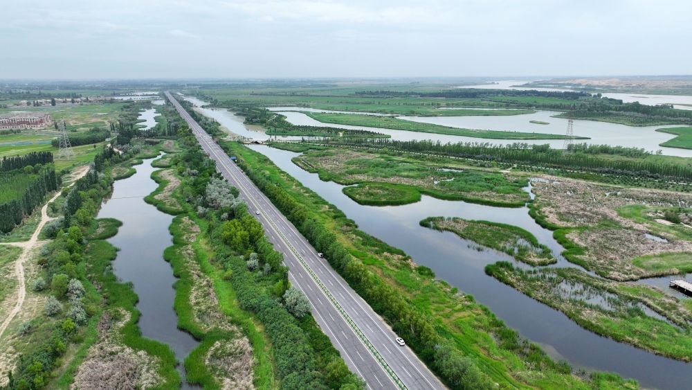 這是2024年6月13日拍攝的黃河寧夏段濱河大道（無(wú)人機(jī)照片）。近年來(lái)，寧夏努力建設(shè)黃河流域生態(tài)保護(hù)和高質(zhì)量發(fā)展先行區(qū)，全力打好黃河保護(hù)持久戰(zhàn)。新華社記者 王鵬 攝
