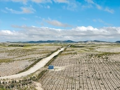 剛剛竣工的其白線穿沙公路。