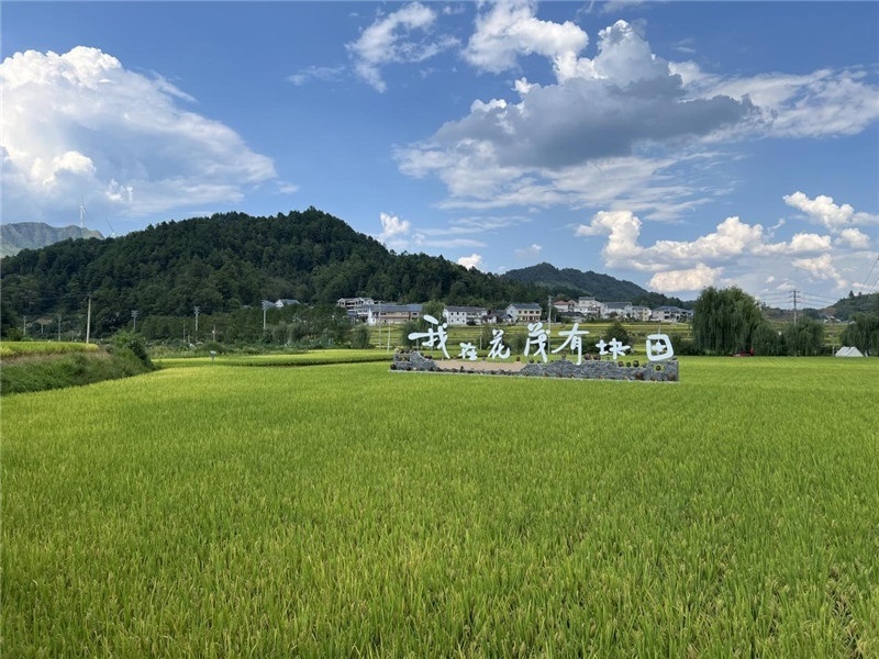 青瓦白磚的黔北民居、風(fēng)中搖曳的稻田、抬手可觸的大片云朵……才剛下車，格魯吉亞“經(jīng)濟(jì)中心網(wǎng)”總編輯莉安娜·喬爾喬利亞尼就被眼前的景色拖住了步履，喃喃細(xì)語：“實在太美了，讓我內(nèi)心平靜，在這里生活一定非常安逸和幸福。”（邱輝攝）