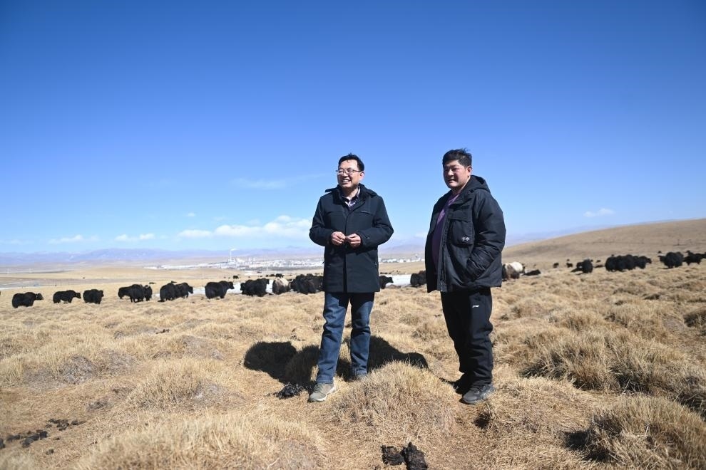 2023年2月24日，在青海省海北藏族自治州海晏縣青海湖鄉(xiāng)達(dá)玉日秀村，全國(guó)人大代表董全民（左）查看牧民東知布家的草場(chǎng)。新華社記者 張龍 攝