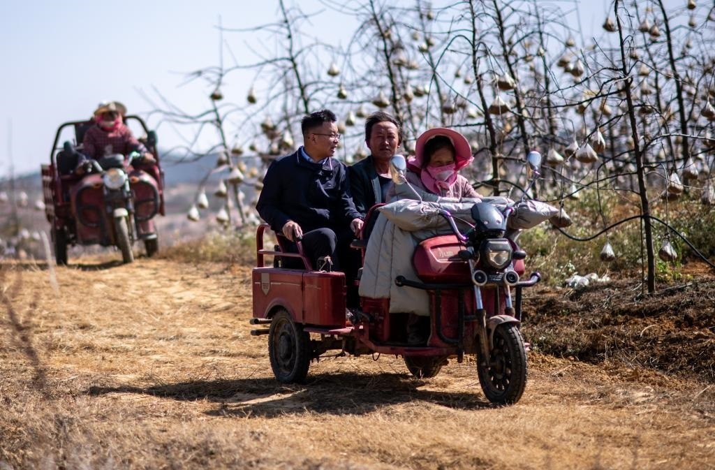 全國(guó)人大代表袁海波（右三）在云南省曲靖市馬龍區(qū)一種植基地了解務(wù)工人員就業(yè)需求（2023年2月11日攝）。新華社記者 江文耀 攝