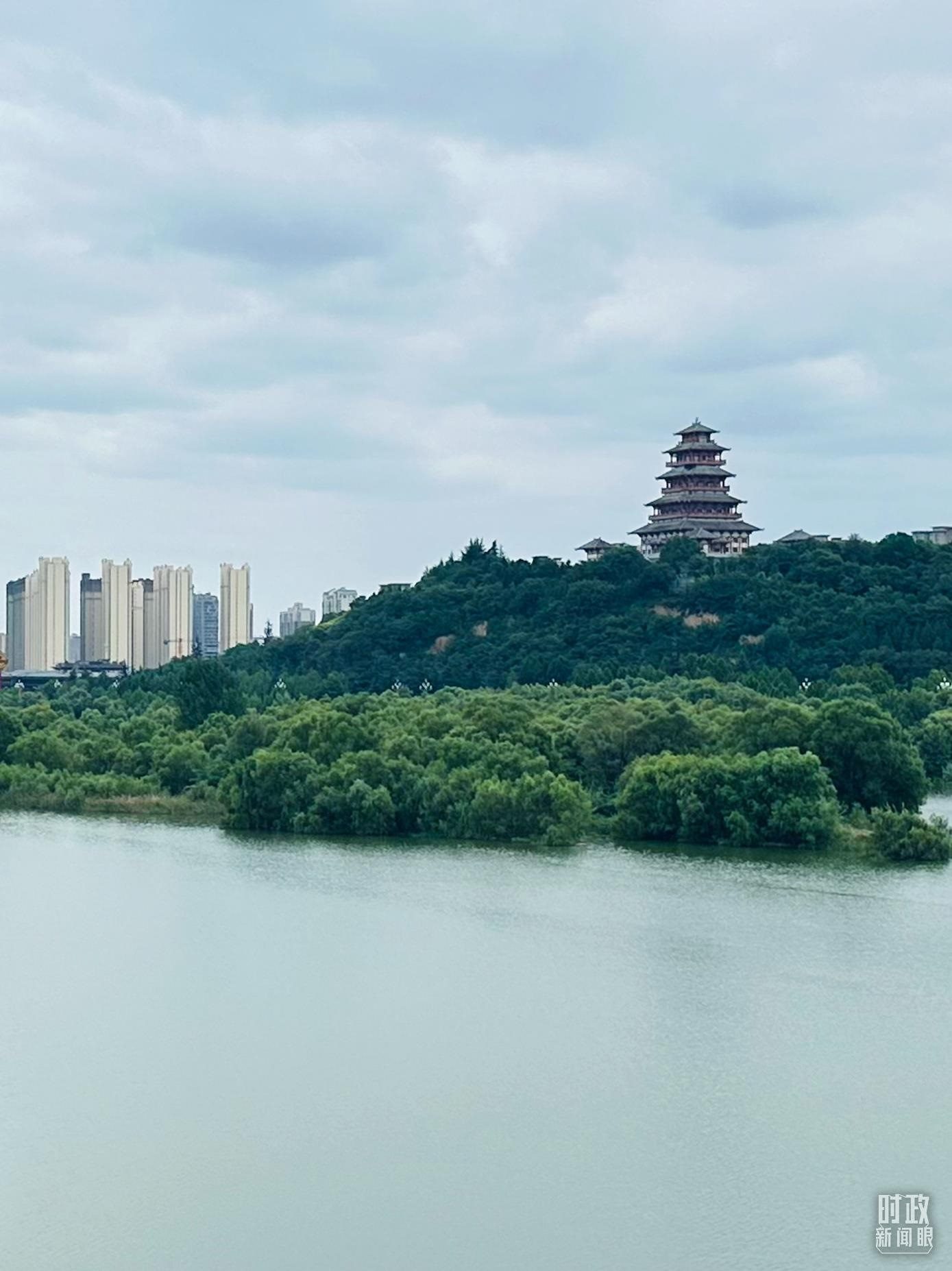 △渭河寶雞段長(zhǎng)224公里，目前建成17處渭河灘區(qū)生態(tài)涵養(yǎng)區(qū)。（總臺(tái)央視記者范一鳴拍攝）