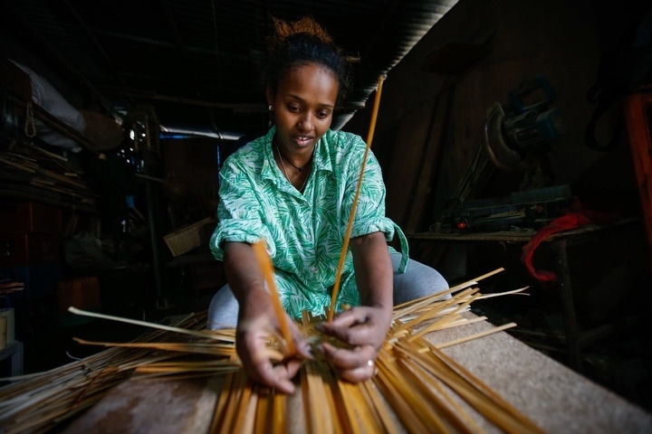 2024年8月10日，菲基爾特·加布雷在埃塞俄比亞首都亞的斯亞貝巴名為“綠色金子”的竹藤工作室里加工竹制產(chǎn)品。新華社發(fā)（邁克爾·特韋爾德 攝）