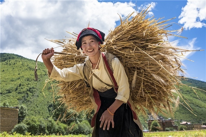康定市甲根壩鎮(zhèn)青稞豐收，農(nóng)牧民臉上洋溢著豐收的喜悅。林革文攝
