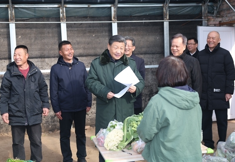 2024年2月1日，習(xí)近平總書記在天津市西青區(qū)辛口鎮(zhèn)第六埠村，走進(jìn)大棚同菜農(nóng)親切交流。