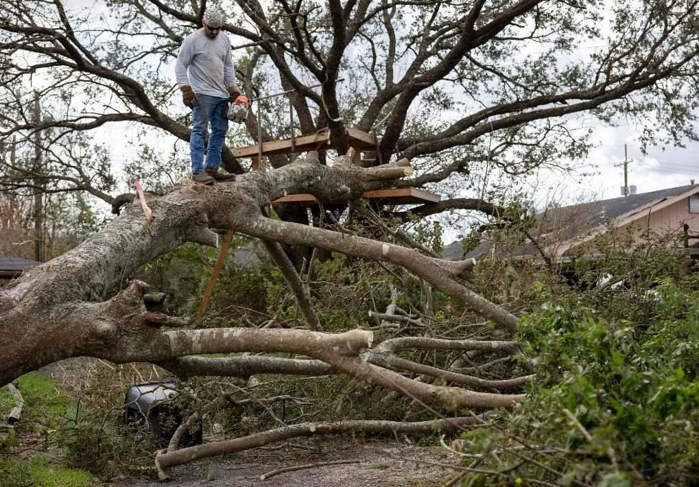 2021年8月30日，在美國(guó)路易斯安那州霍馬，一名男子站在被颶風(fēng)吹倒的大樹上。新華社發(fā)（尼克·瓦格納 攝）