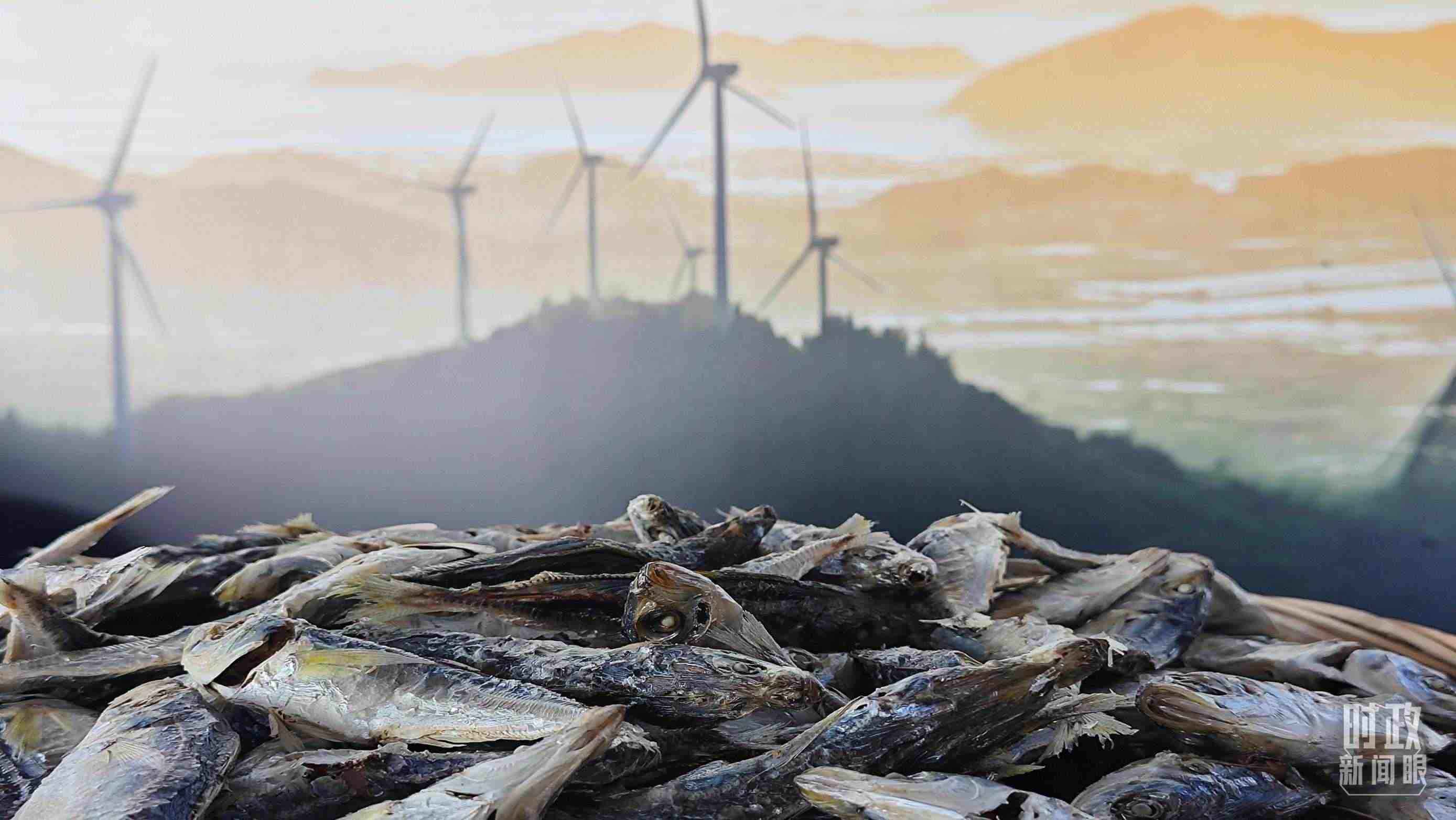 △澳角村的海產品。（總臺央視記者許永松拍攝）