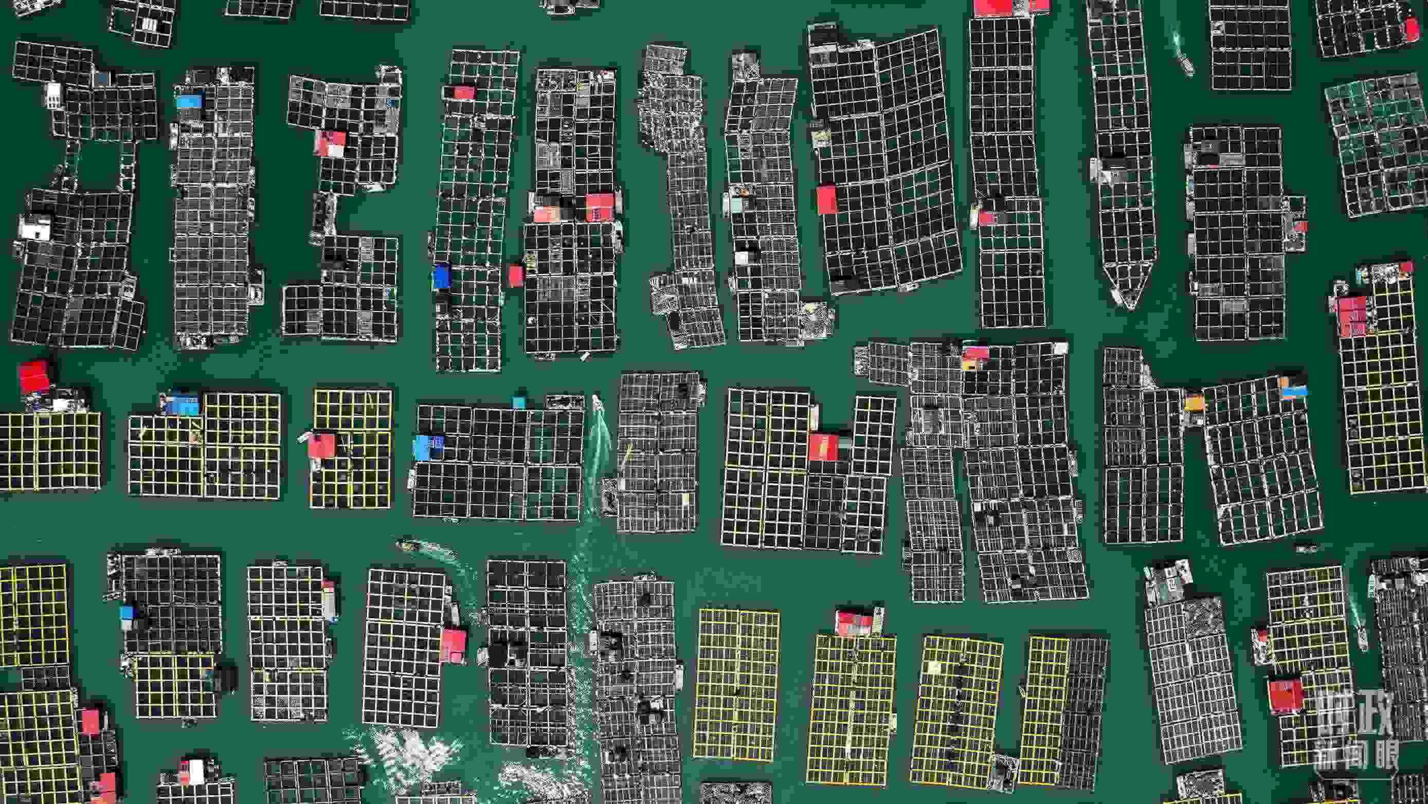 △澳角村。（總臺記者李晉拍攝）