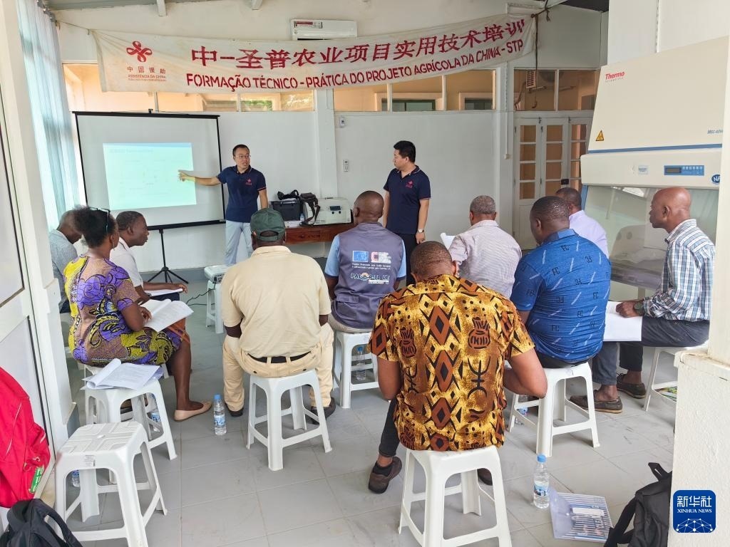 中國援圣普農(nóng)牧業(yè)技術(shù)項(xiàng)目組專家段振華（后左）在圣多美和普林西比的國家獸醫(yī)實(shí)驗(yàn)室開展動(dòng)物疫病監(jiān)測技術(shù)培訓(xùn)（2024年6月21日攝）。新華社發(fā)（中國援圣普農(nóng)技組供圖）