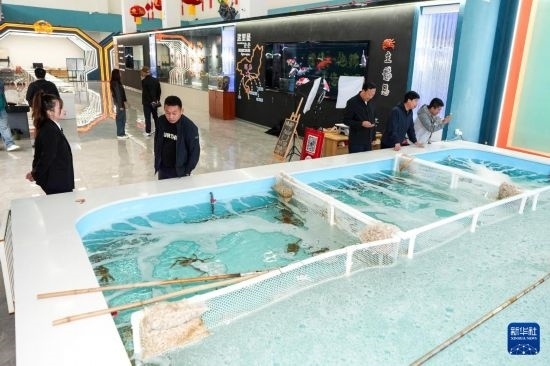 9月20日，游客在吉林省琿春市的帝王蟹保稅店內(nèi)選購帝王蟹。新華社記者 許暢 攝