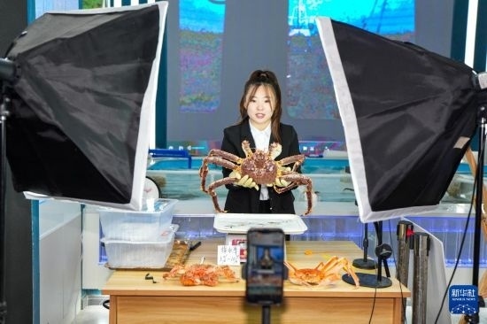 9月20日，在吉林省琿春市的帝王蟹保稅店內(nèi)，工作人員進行網(wǎng)絡(luò)直播售賣帝王蟹。新華社記者 許暢 攝