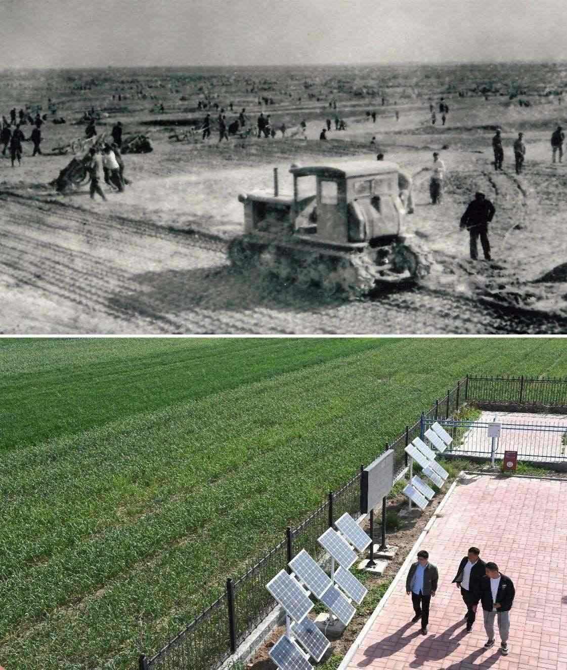 上圖為二十世紀(jì)六十年代蘭考改造鹽堿地的情景（資料照片）；下圖為2024年4月18日拍攝的蘭考縣紅廟鎮(zhèn)高標(biāo)準(zhǔn)農(nóng)田示范區(qū)。（新華社記者 朱祥 攝）
