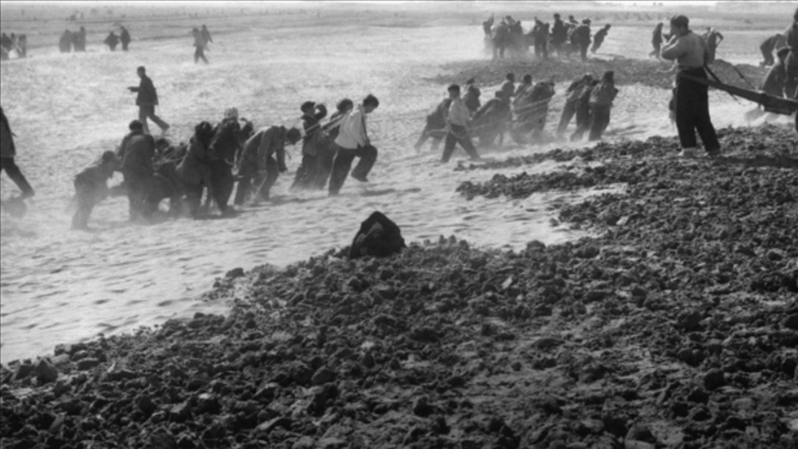 蘭考群眾在拉淤土壓沙。（新華社記者 鄧歷耕 攝）