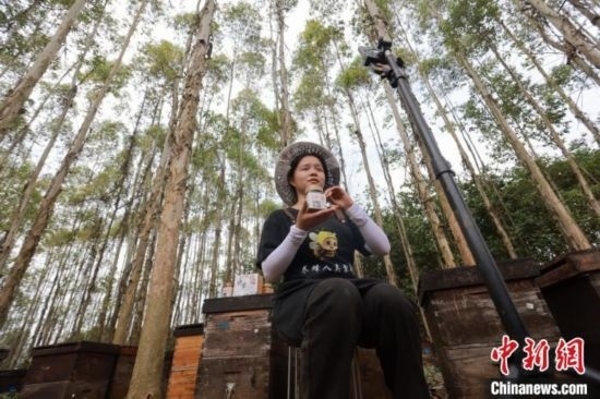 吳素英在網(wǎng)絡(luò)平臺(tái)直播介紹蜜蜂和養(yǎng)蜂情況。湯曉逵 攝