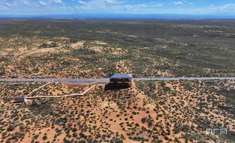 古浪縣一代代人治沙不息，讓綠色向沙漠深處不斷延伸（央廣網(wǎng)記者 李紅軍 攝）