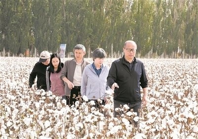 李召虎團(tuán)隊(duì)成員在棉田了解試驗(yàn)情況。 受訪單位供圖