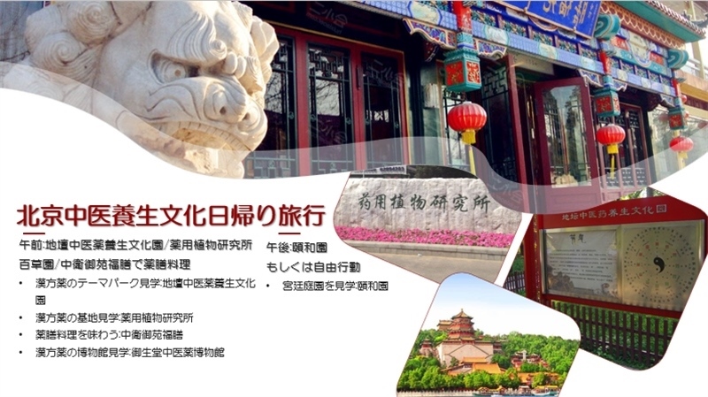 “你好！中國·休閑旅游—中國旅游說明會”宣講材料。中國駐東京旅游辦事處供圖