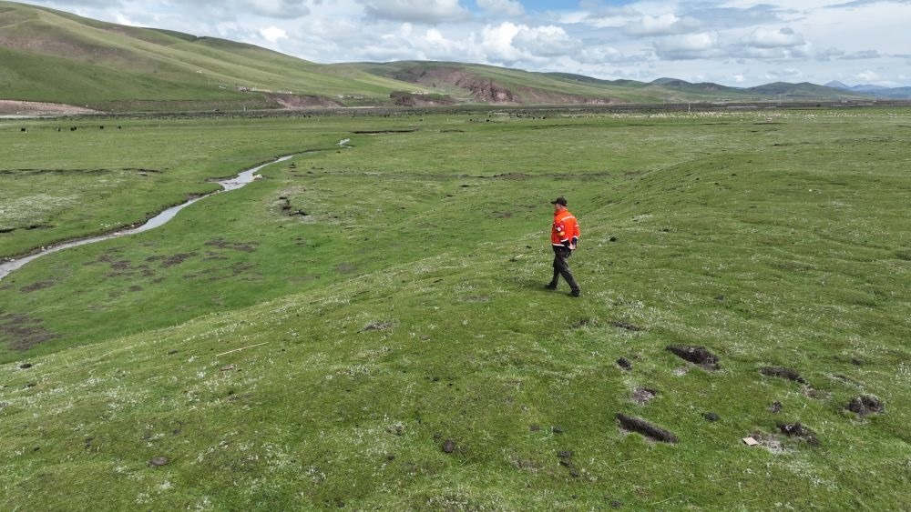 9月24日，生態(tài)管護(hù)員那瓦才郎在草場(chǎng)上巡護(hù)。（受訪者供圖）